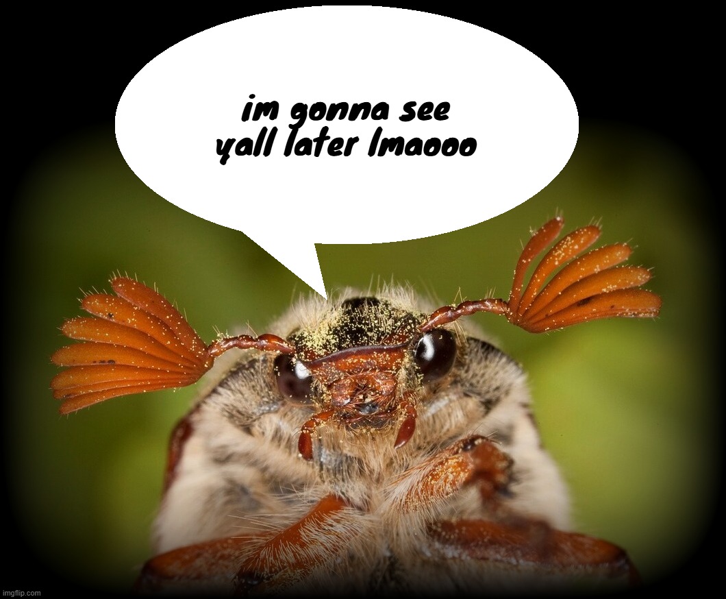 Doodlebug/odd announcement temp | im gonna see yall later lmaooo | image tagged in doodlebug/odd announcement temp | made w/ Imgflip meme maker