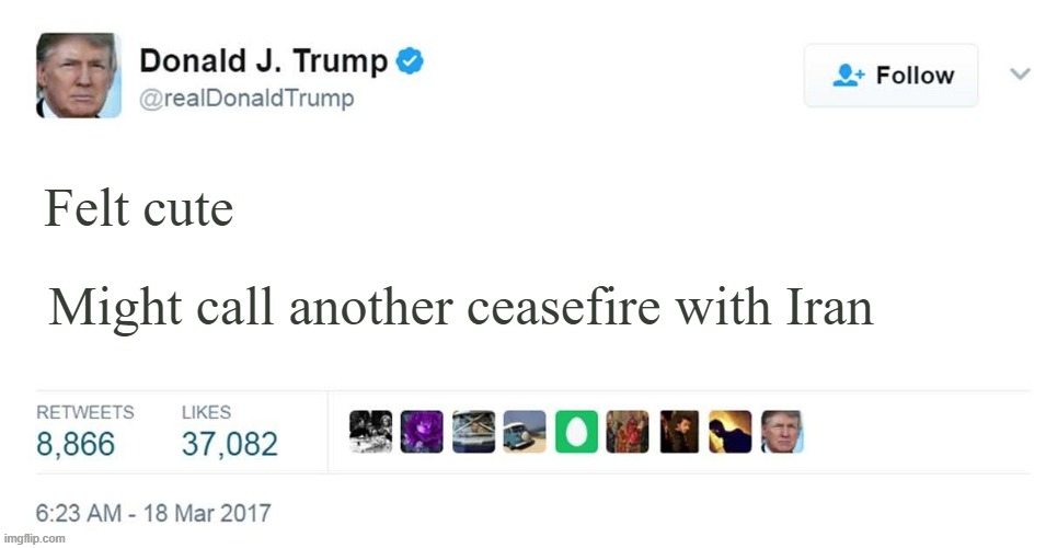 TRUMP TWEET BLANK | Felt cute; Might call another ceasefire with Iran | image tagged in trump tweet blank | made w/ Imgflip meme maker