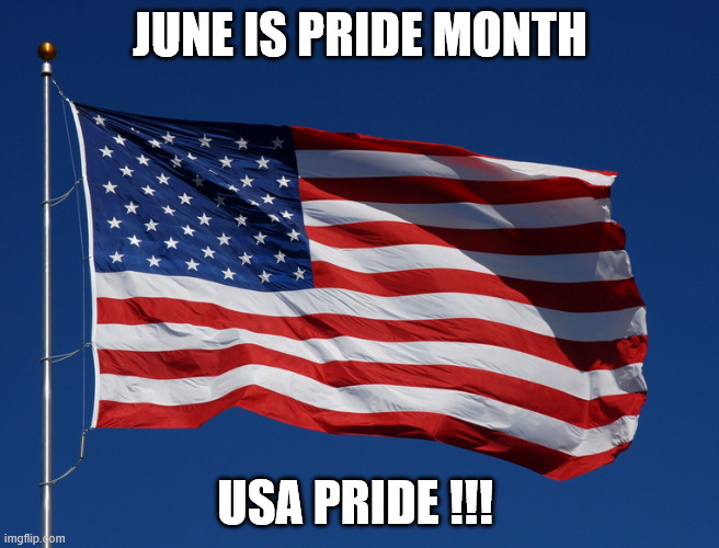 I HAVE YOUR "PRIDE MONTH" HANGING | JUNE IS PRIDE MONTH; USA PRIDE !!! | image tagged in usa pride | made w/ Imgflip meme maker