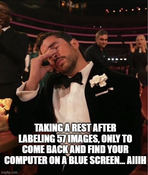 Bad Bunny Grammy WTF | Taking a rest after labeling 57 images, only to come back and find your computer on a blue screen... aiiih | image tagged in bad bunny grammy wtf | made w/ Imgflip meme maker