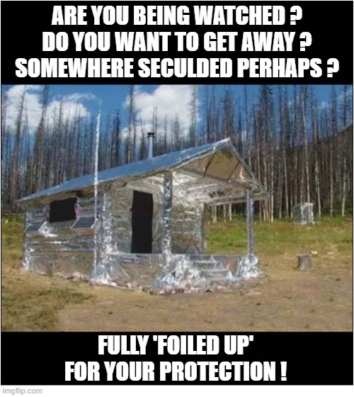 A Cabin In The Woods For The Paranoid ! | are you being watched ?
do you want to get away ?
somewhere seculded perhaps ? fully 'foiled up' for your protection ! | image tagged in paranoid,cabin the the woods,silver foil | made w/ Imgflip meme maker