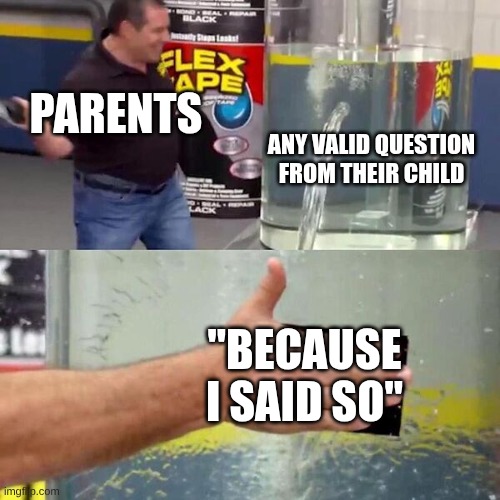 Phil Swift Slapping on Flex Tape | Parents; Any Valid Question from their child; "Because I said so" | image tagged in phil swift slapping on flex tape | made w/ Imgflip meme maker