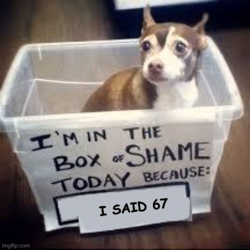 box of shame dog | I said 67 | image tagged in box of shame dog | made w/ Imgflip meme maker