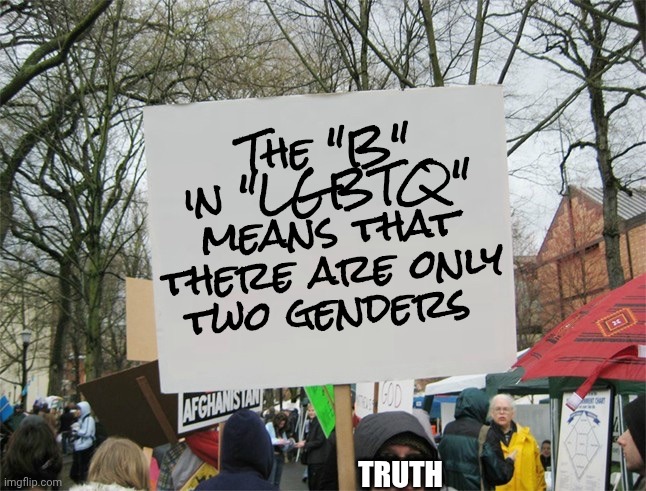 Blank protest sign | The "B" in "LGBTQ" means that there are only two genders Truth | image tagged in blank protest sign | made w/ Imgflip meme maker