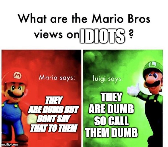 Mario Bros Views | idiots; they are dumb but dont say that to them; they are dumb so call them dumb | image tagged in mario bros views | made w/ Imgflip meme maker