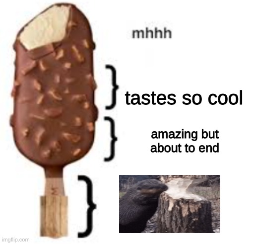 stick ice cream be like | tastes so cool; amazing but about to end | image tagged in memes,ice cream,eating | made w/ Imgflip meme maker