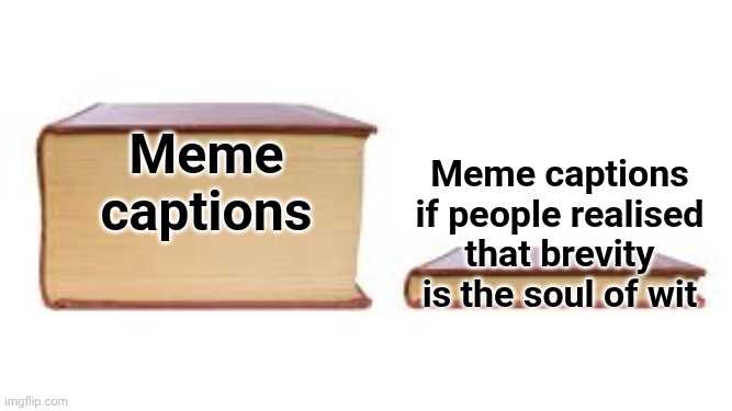 Death by embellishment | Meme captions; Meme captions if people realised that brevity is the soul of wit | image tagged in big book small book,memes,shakespeare,yapping | made w/ Imgflip meme maker