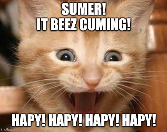 happy summer cat | SUmer!
it beez cuming! Hapy! hapy! hapy! hapy! | image tagged in memes,excited cat | made w/ Imgflip meme maker