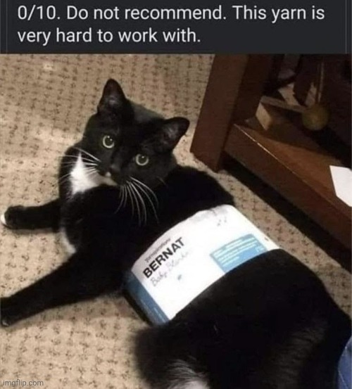 010-do-not-recommend-this-yarn-is-very-hard-work-with-bernat-bab | image tagged in 010-do-not-recommend-this-yarn-is-very-hard-work-with-bernat-bab,cats,funny,meme | made w/ Imgflip meme maker