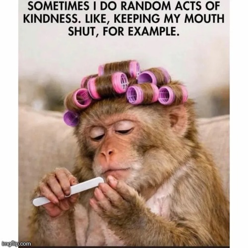 img_6386.webp | image tagged in img_6386 webp,monkey,kindness | made w/ Imgflip meme maker