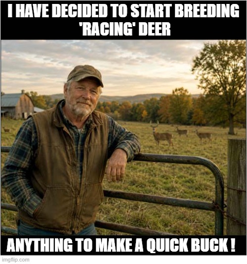 These Days, Farmers Need To Diversify ... | i have decided to start breeding
 'racing' deer; anything to make a quick buck ! | image tagged in farmers,diversify,racing,deer,quick buck,play on words | made w/ Imgflip meme maker