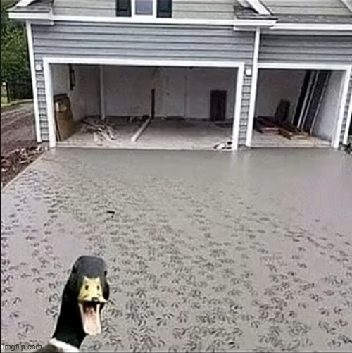 y'all ever had Fried Duck Wings before | image tagged in duck | made w/ Imgflip meme maker