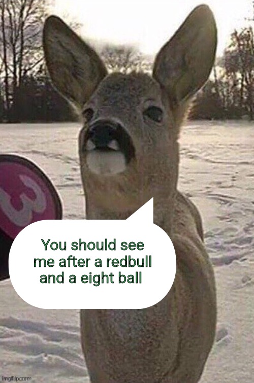 deer yap session | You should see me after a redbull and a eight ball | image tagged in deer yap session | made w/ Imgflip meme maker