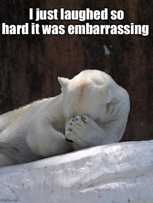I just laughed so hard it was embarrassing | made w/ Imgflip meme maker