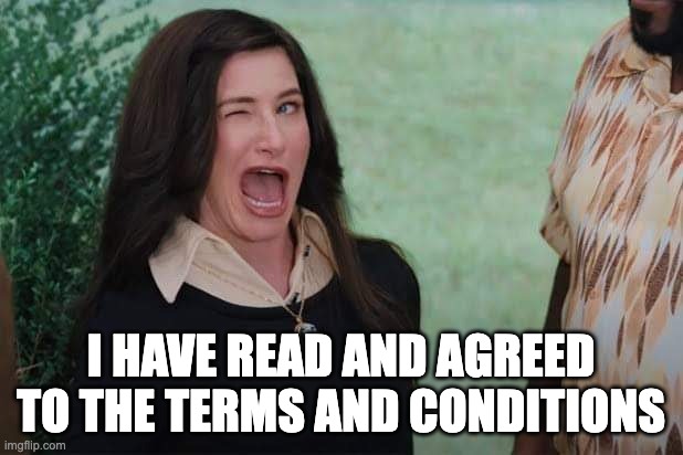 A dangerous game | I have read and agreed to the terms and conditions | image tagged in wandavision agnes wink,terms and conditions | made w/ Imgflip meme maker