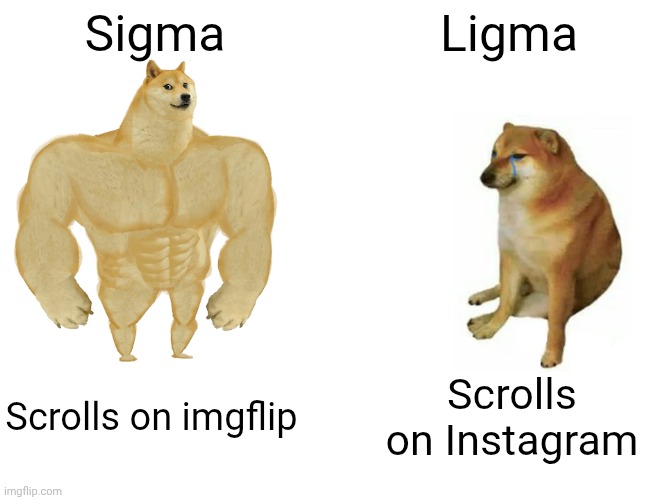 U are a sigma | Sigma; Ligma; Scrolls on imgflip; Scrolls on Instagram | image tagged in memes,buff doge vs cheems | made w/ Imgflip meme maker