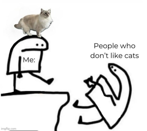 I love cats | image tagged in people-who-dont-like-cats jpeg,drawing,cats,funny | made w/ Imgflip meme maker