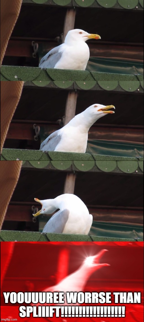 Inhaling Seagull Meme | YOOUUUREE WORRSE THAN SPLIIIFT!!!!!!!!!!!!!!!!!! | image tagged in memes,inhaling seagull | made w/ Imgflip meme maker