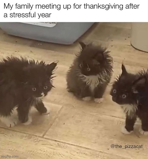 image tagged in my-family-meeting-up-thanksgiving-after-stressful-year-the_pizza,thanksgiving,cats | made w/ Imgflip meme maker