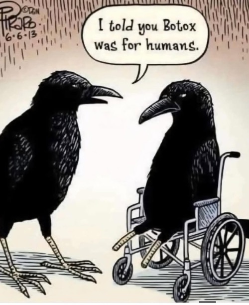 Crow’s Feet | image tagged in funny memes,comics/cartoons | made w/ Imgflip meme maker