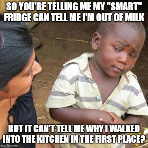 Smart Fridge | SO YOU'RE TELLING ME MY "SMART" FRIDGE CAN TELL ME I'M OUT OF MILK; BUT IT CAN'T TELL ME WHY I WALKED INTO THE KITCHEN IN THE FIRST PLACE? | image tagged in memes,third world skeptical kid | made w/ Imgflip meme maker