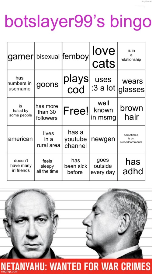 image tagged in botslayer bingo,war criminal netanyahu | made w/ Imgflip meme maker