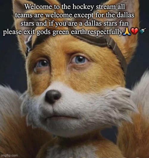 Welcome! | Welcome to the hockey stream all teams are welcome except for the dallas stars and if you are a dallas stars fan please exit gods green earth respectfully🙏💔🚿 | image tagged in son | made w/ Imgflip meme maker