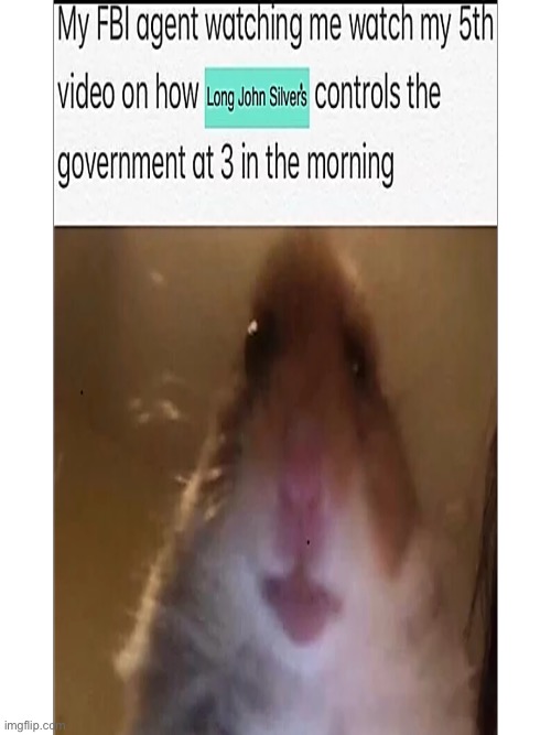 image tagged in memes | made w/ Imgflip meme maker
