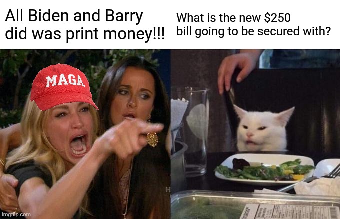 Printing money so hot now!!!  Own the libs what ever it takes. | All Biden and Barry did was print money!!! What is the new $250 bill going to be secured with? | image tagged in memes,woman yelling at cat | made w/ Imgflip meme maker