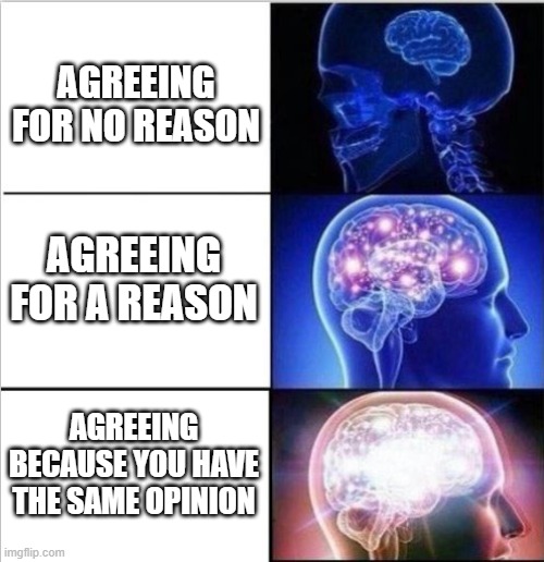 expanded woke 3 mind brain | agreeing for no reason; agreeing for a reason; agreeing because you have the same opinion | image tagged in expanded woke 3 mind brain | made w/ Imgflip meme maker