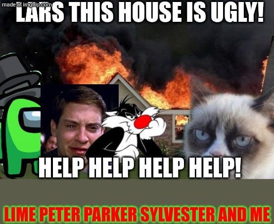 Lars this house is ugly! | Lars this house is ugly! help help help help! Lime Peter Parker Sylvester and Me | image tagged in memes,burn kitty,grumpy cat,lars unich,ugly,house | made w/ Imgflip meme maker
