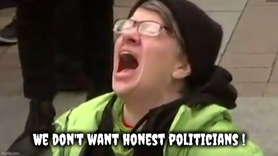 Screaming Liberal  | We don't want honest politicians ! | image tagged in screaming liberal | made w/ Imgflip meme maker