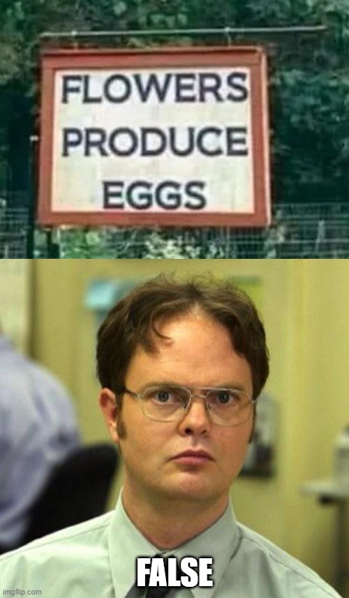 FALSE | image tagged in false | made w/ Imgflip meme maker