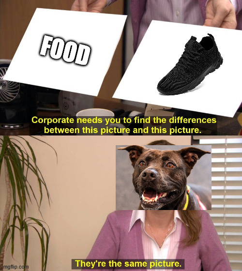they dont even taste good | food | image tagged in they are the same picture | made w/ Imgflip meme maker