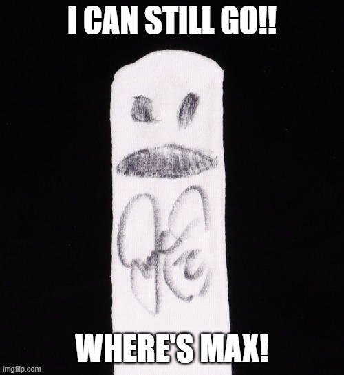Mr Socko | image tagged in socko | made w/ Imgflip meme maker