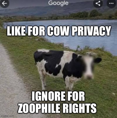 Like for cow privacy Ignore for Zoophile rights | image tagged in memes,zoophile | made w/ Imgflip meme maker