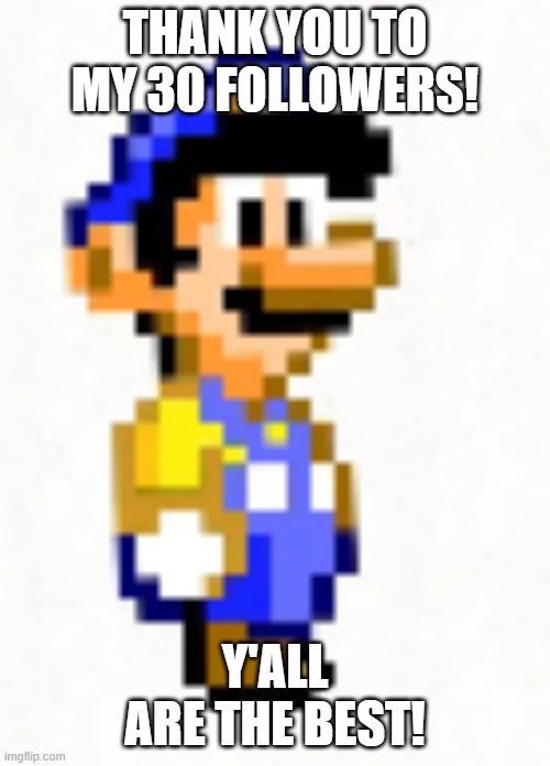 Great Mission Luigi- Super Mario World | thank you to my 30 followers! y'all are the best! | image tagged in great mission luigi- super mario world | made w/ Imgflip meme maker