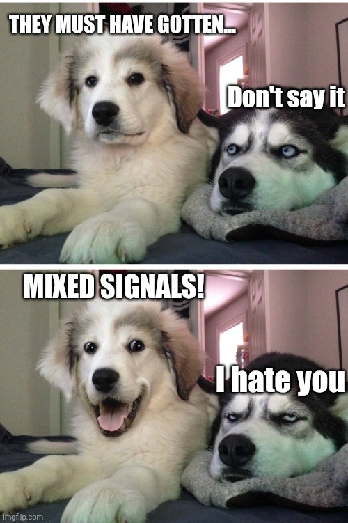Bad pun dogs | They must have gotten... Don't say it Mixed signals! I hate you | image tagged in bad pun dogs | made w/ Imgflip meme maker