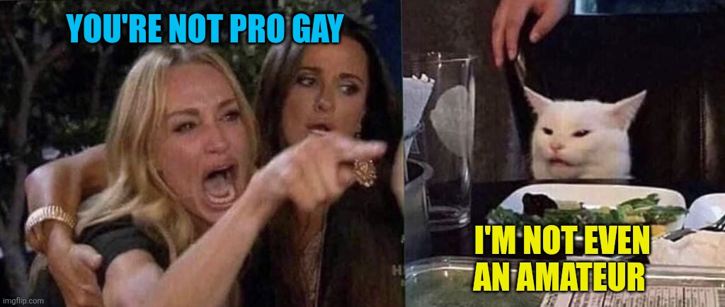 Best I can do is give my sympathies | You're not pro gay; I'm not even an amateur | image tagged in woman yelling at cat,gay pride,pride month | made w/ Imgflip meme maker