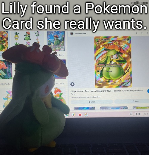 Lilly wants this card. | Lilly found a Pokemon Card she really wants. | image tagged in lilly,pokemon cards | made w/ Imgflip meme maker