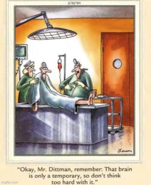 Temporary brain transplant | image tagged in the far side,comics,operating room,brain,temporary,dont think too hard | made w/ Imgflip meme maker