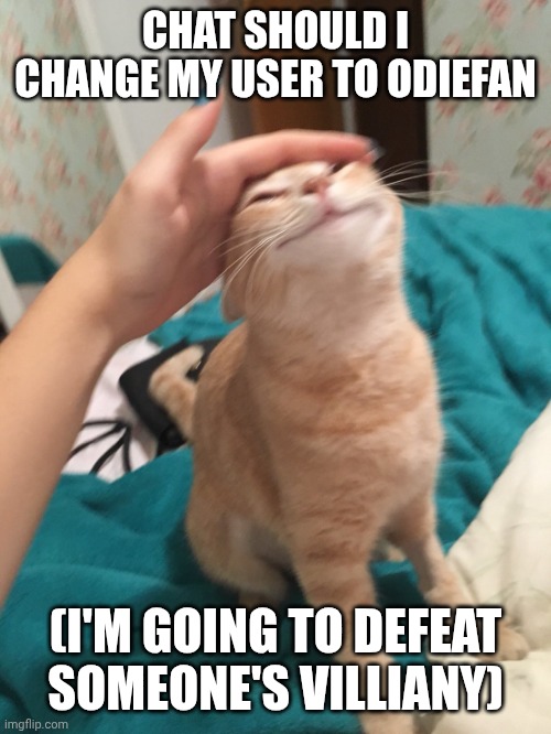 Someone I said, someone | Chat should I change my user to odiefan; (I'm going to defeat someone's villiany) | image tagged in cat pat | made w/ Imgflip meme maker