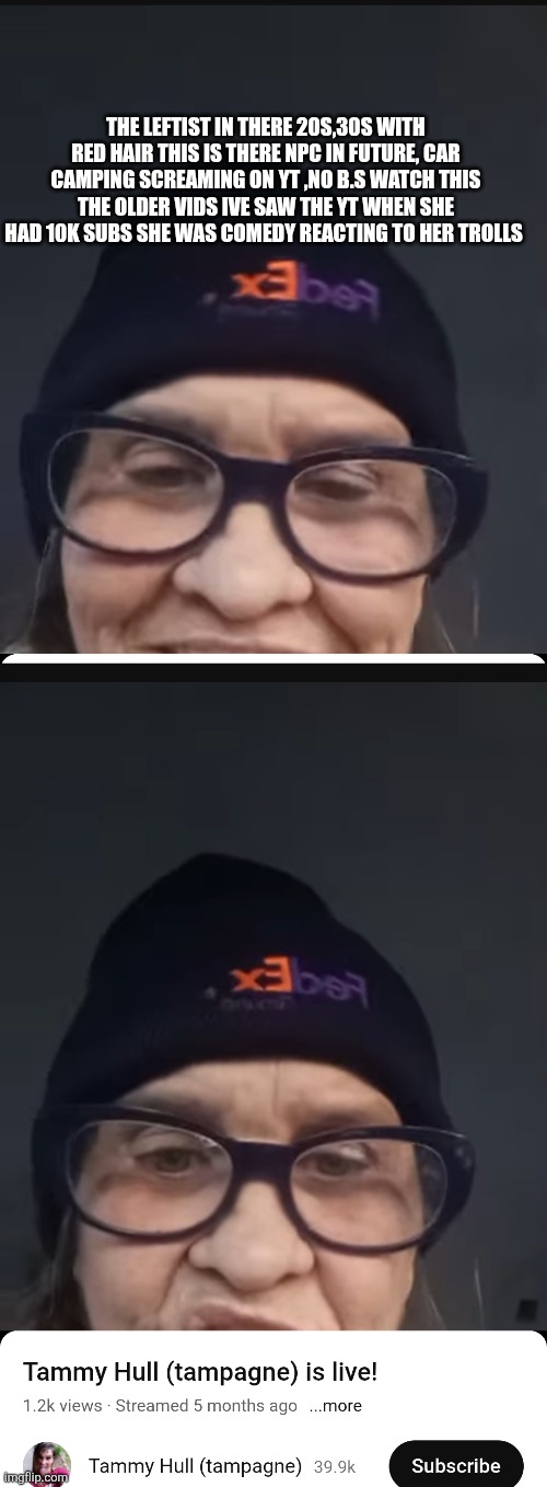 Bright hair colors to screaming atreamer | The leftist in there 20s,30s with red hair This is there npc in future, car camping screaming on yt ,no b.s watch this the older vids ive saw the yt when she had 10k subs she was comedy reacting to her trolls | made w/ Imgflip meme maker