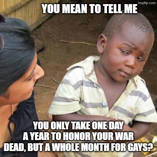 Third World Skeptical Kid Meme | you mean to tell me you only take one day a year to honor your war dead, but a whole month for gays? | image tagged in memes,third world skeptical kid | made w/ Imgflip meme maker