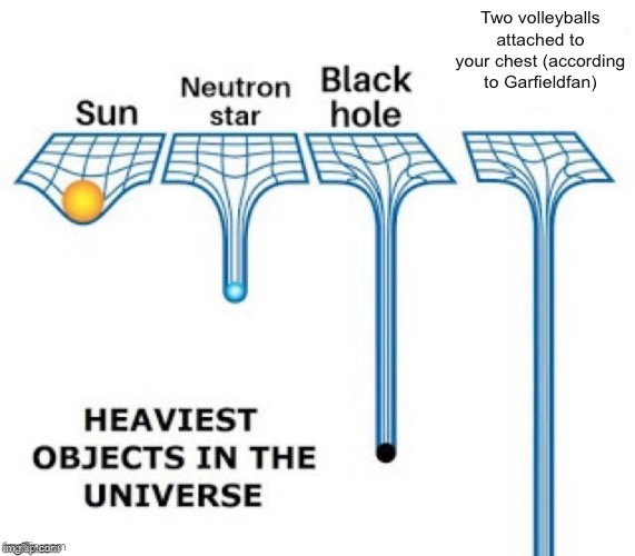 Idk | Two volleyballs attached to your chest (according to Garfieldfan) | image tagged in heaviest objects in the universe | made w/ Imgflip meme maker