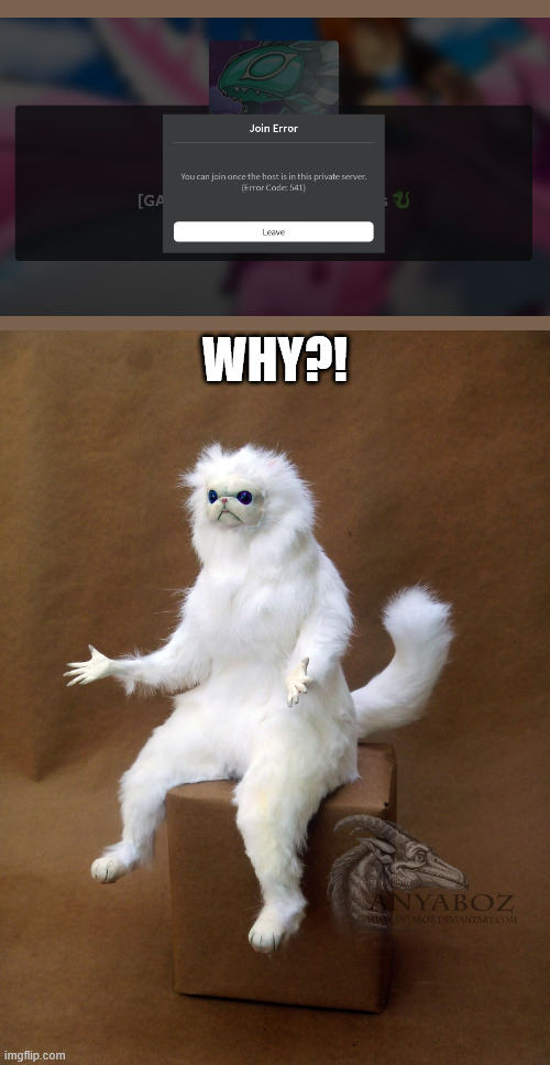 honestly, what was the point of this update? | WHY?! | image tagged in memes,persian cat room guardian single | made w/ Imgflip meme maker