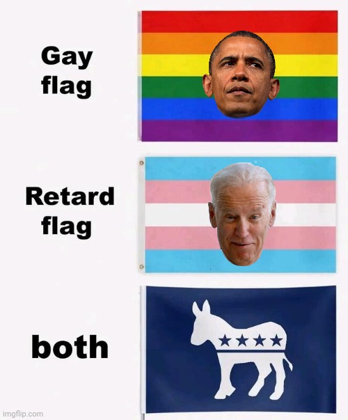 Combo Flag for Demorhhoids | image tagged in img 16 jpeg,flags,democrats | made w/ Imgflip meme maker