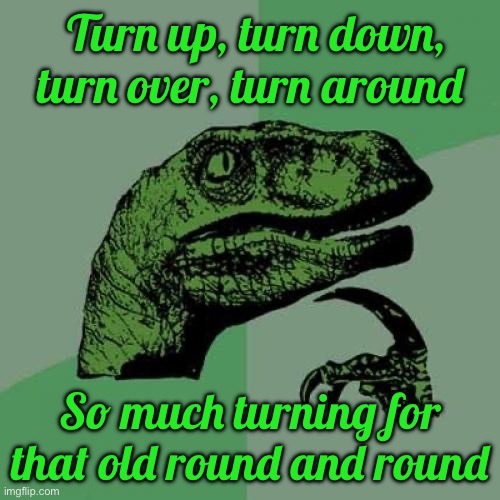 Philosoraptor Meme | Turn up, turn down, turn over, turn around; So much turning for that old round and round | image tagged in memes,philosoraptor | made w/ Imgflip meme maker