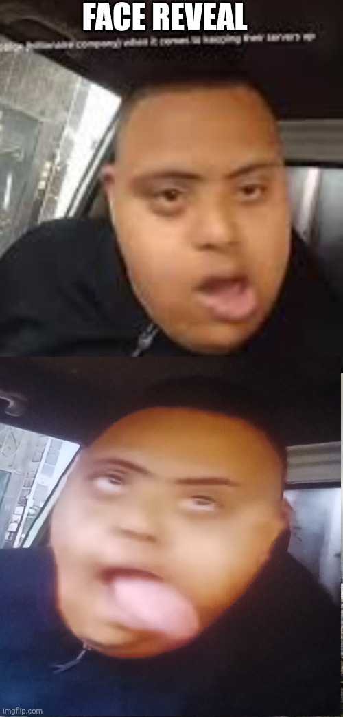 No | Face reveal | image tagged in memes,confession bear | made w/ Imgflip meme maker