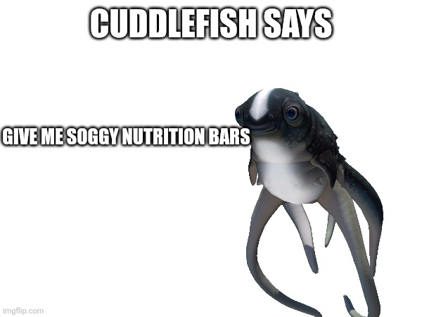 Real | Cuddlefish says; Give me soggy nutrition bars | image tagged in subnautica | made w/ Imgflip meme maker